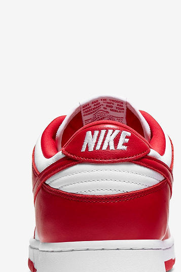 Nike Dunk Low University